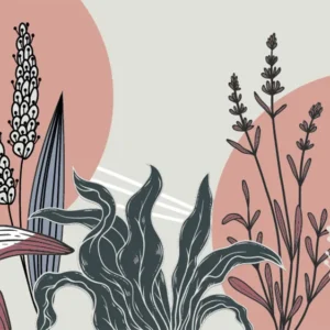 fototapeta - tapeta -botaniczna kompozycja roslinna na tle pastelowych okregow, wykonana w stylu boho z nutą retro i flat designu