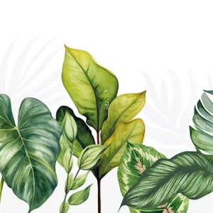 rosliny-tropikalne-fototapeta-tapeta-inspiracje